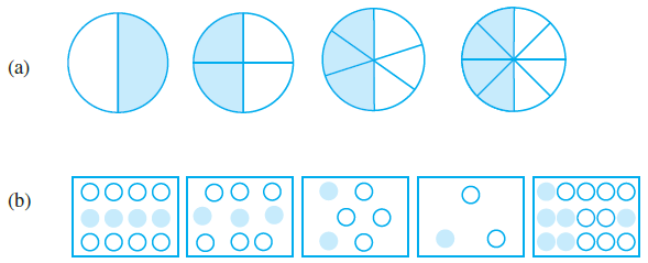 Page 146 Chapter 7 Class 6th Non-Rationalised NCERT 2019-20